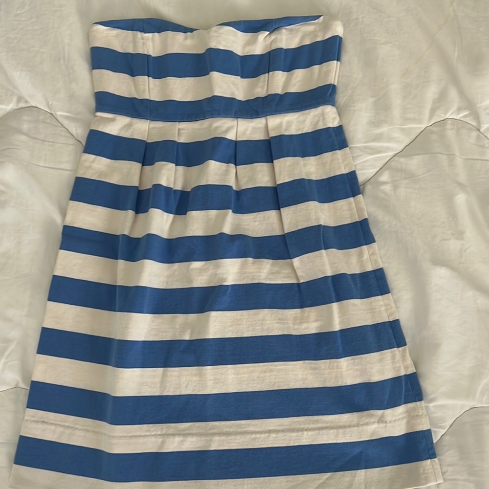 J Crew Dress